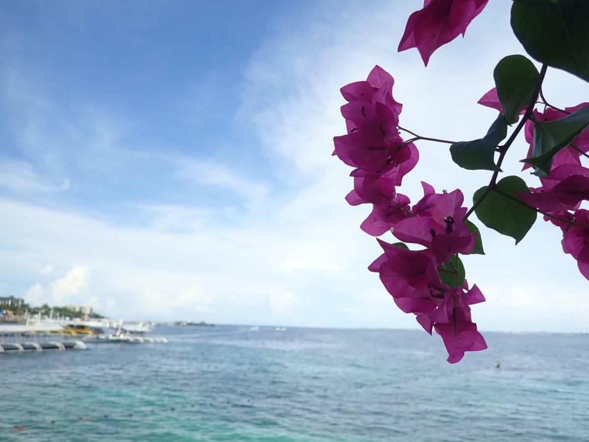 Nost Cottages Lapu-Lapu City Exteriér fotografie